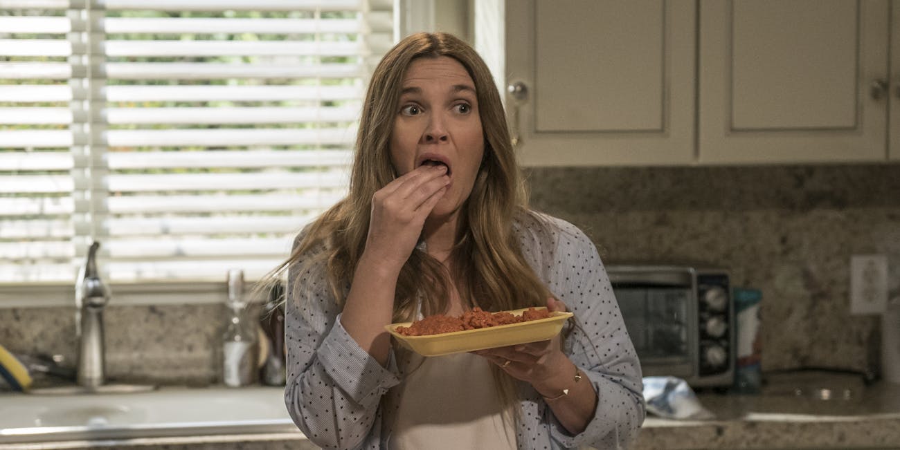 santa clarita diet principal novak actor